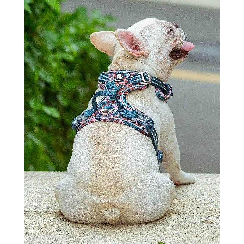 Truelove Pet Harness Small Medium Large Split Dog Fashion Outdoor Dropshipping