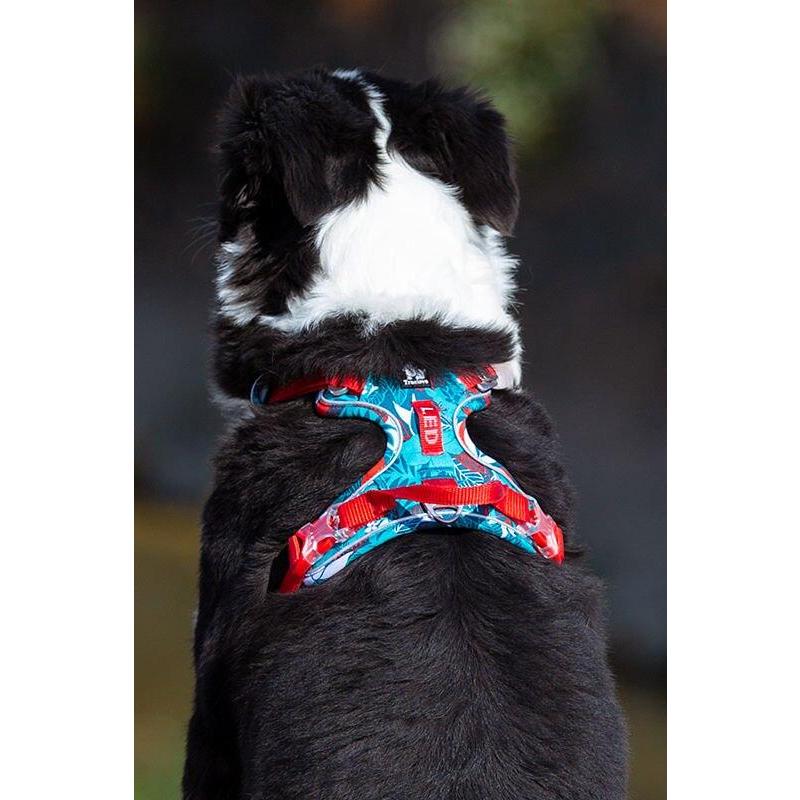 Truelove Pet Harness Small Medium Large Split Dog Fashion Outdoor Dropshipping